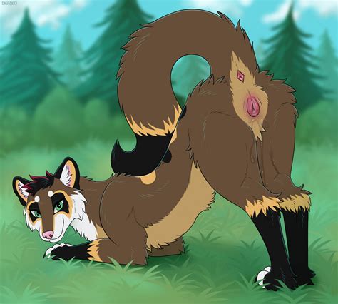 Rule 34 Anus Ass Ass Up Bodily Fluids Brown Body Brown Fur Cheek Tuft Digitoxici Evergreen