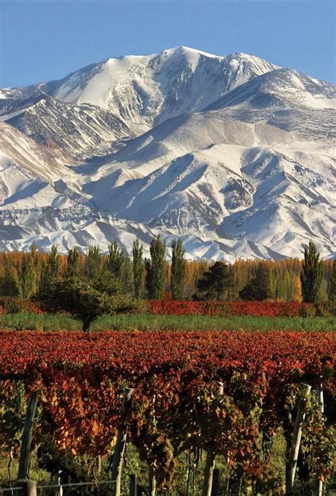 123 Best Mendoza Argentina Images On Pinterest Argentina Buenos