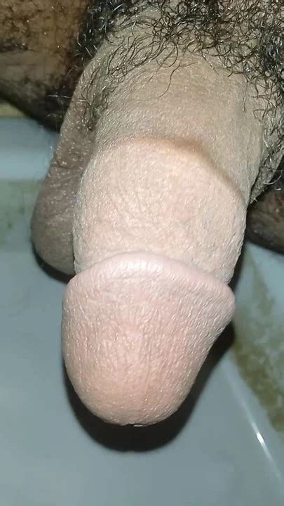 Algerue Gay Le Retour De Anis Le Grand Niak D Alger Bear Bear Porn Xhamster