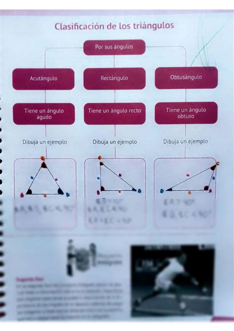 Solution Clasificaci N De Los Tri Ngulos Studypool