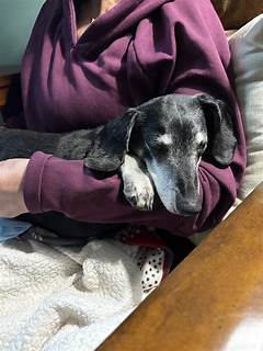 Columbus Telegram Obituaries Columbus Ne This Goodbye Is Gut Wrenching