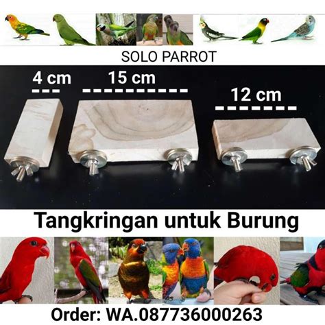 Tangkringan Kayu Tempel Dalam Kandang Untuk Burung Parrot Lazada