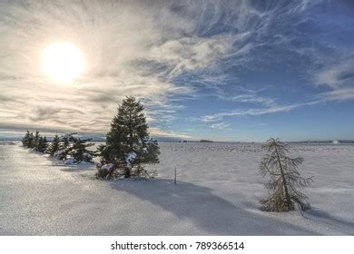 215 Idaho Coeur D' Alene Winter Images, Stock Photos & Vectors | Shutterstock