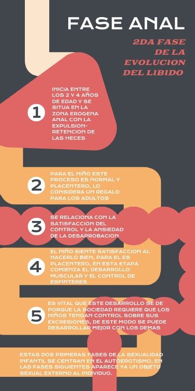 FASE ANAL DEL DESARROLLO PSICOSEXUAL