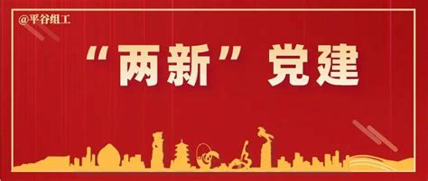 两新”党建】平谷区抓实“小个专”党建 以党建引领推动行业治理企业工作思路市场