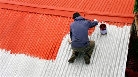 The Pros And Cons Of Painting Your Roof Architecture Beast