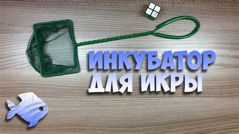 простой инкубатор для икры цихлид - YouTube
