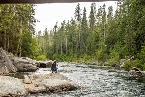 calaveras big tree camping 1
