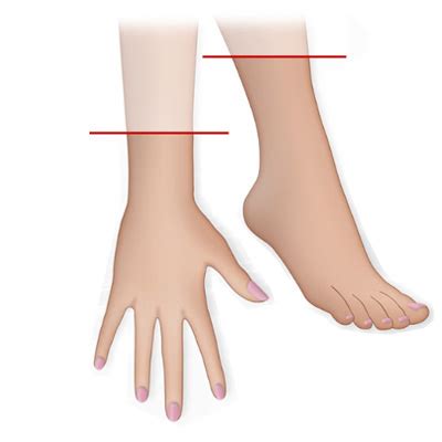 Sex Doll Fingers Do I Need The Articulated Fingers Enjoymydoll