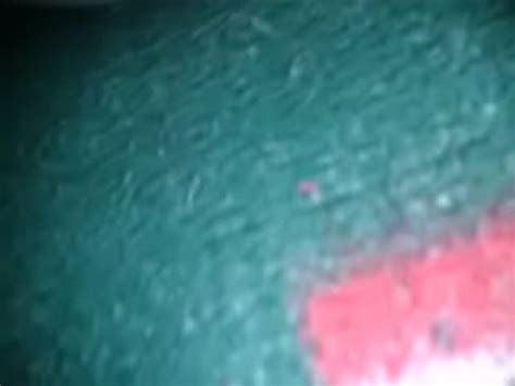 Rica Panocha Manoseada Xvideos