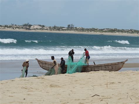 Mozambique creates Africa’s largest coastal marine reserve | WWF