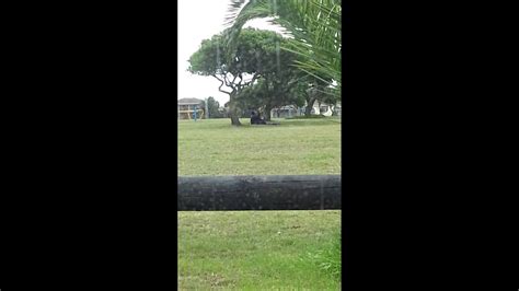 Sex In The Park In The Afternoon YouTube