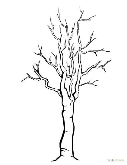 How To Draw A Tree Without Leaves Clipart Best