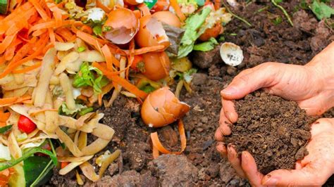 Huerta en casa cómo hacer abono para nutrir la tierra