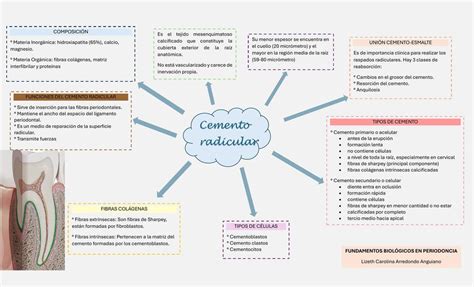 Cemento Radicular Lizeth Arredondo Udocz