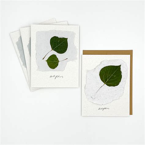 Black Eyed Suzie Designs Pack Of Four Cards And Envelopes Aspen Leave