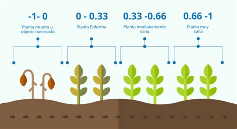 Índices de vegetación y su interpretación NDVI GNDVI MSAVI2 NDRE y