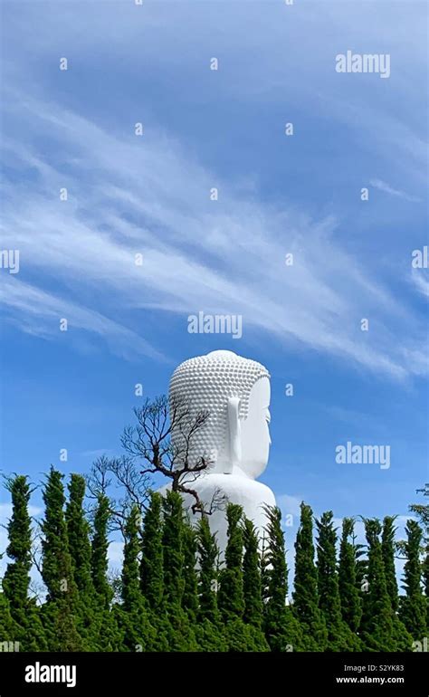 Vietnamese Buddha Hi Res Stock Photography And Images Alamy