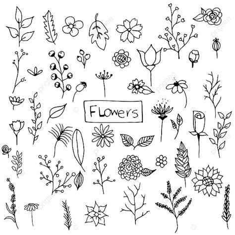 Hand Drawn Flower Vector Hd Images Hand Drawn Flowers Pack Hand Drawn