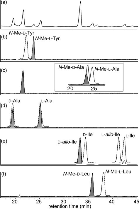 C Marfey S Analysis Of A C Hplc Dad Nm Chromatogram