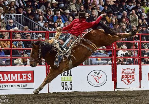 Canadian cowboys excel on major rodeo stage | The Western Producer