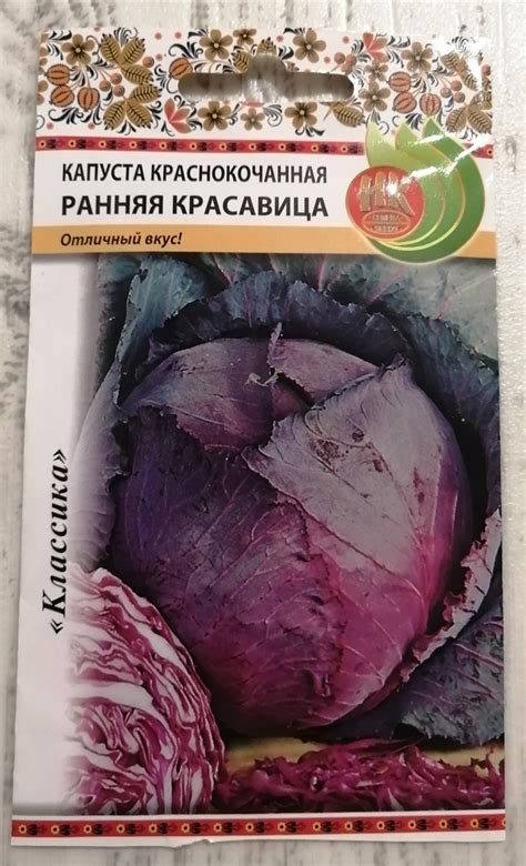 Семена "Русский огород" капуста краснокочанная "Ранняя красавица" | отзывы