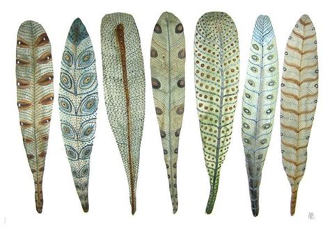 Feather Art Poster Design - Modern Botanical Prints