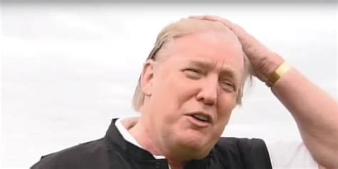 Is Donald Trump Really Bald We Examine The Evidence Business Insider