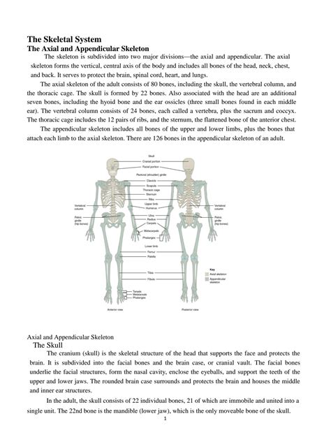 SOLUTION Skeleton System Studypool