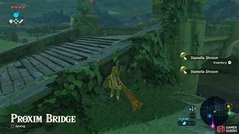 Seek Out Impa Walkthrough Story Quests The Legend Of Zelda