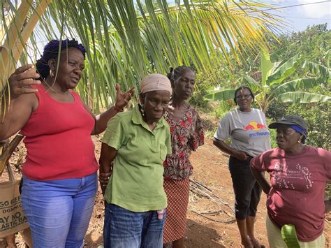 A Tribute to Women Farmers in Dominica - Surviving Storms