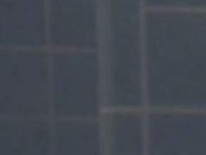 WENDY LYON Nude AZNude