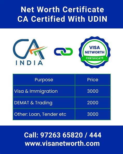 visa net worth