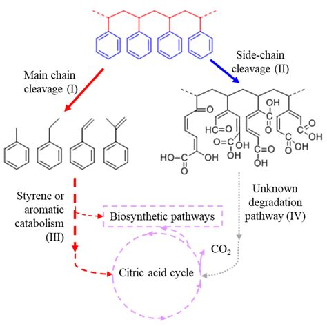 Potential For And Distribution Of Enzymatic Biodegradation Of