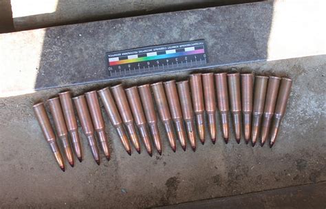 Житель Сморгони раскопал почти полтысячи патронов времен Второй мировой ...