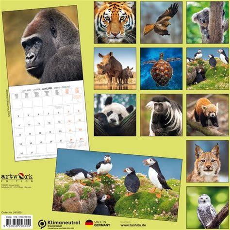 Virginia Wildlife 2024 Calendar - Shea Yettie