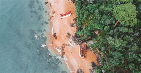 Shipwrecks on Beach · Free Stock Photo