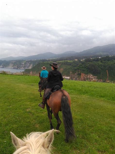 Vacaciones Con Tu Mascota En Asturias Apartamentos Rurales La Torre