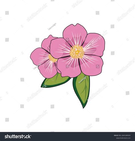 Alberta Wild Rose: Over 36 Royalty-Free Licensable Stock Illustrations ...