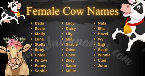 The Fascinating World Of Female Cattle Names A Comprehensive Guide
