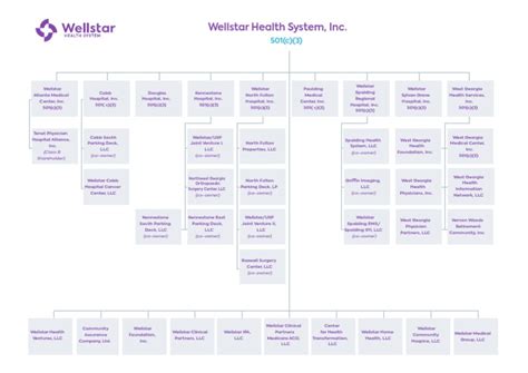 Wellstar Organizational Chart 2020 | PDF | Medicine | Public Services