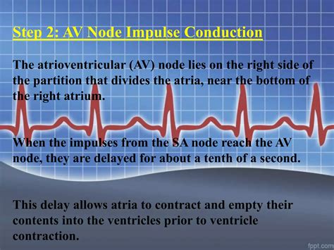 Doctors study how the electrical impulse of the heart normally begins at the start 27