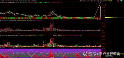 盈方微、国光电器、新农开发、康冠科技 基本面：公司是一家国内领先的soc芯片设计企业，主要从事面向 移动互联 终端、 智能家居 、视频监控