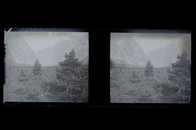 Placca Stereo Negativo Vintage Stereoview Negativo N Amateur Ebay