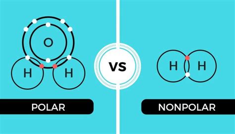 Polar And Nonpolar Covalent Bonds Explained Still Education