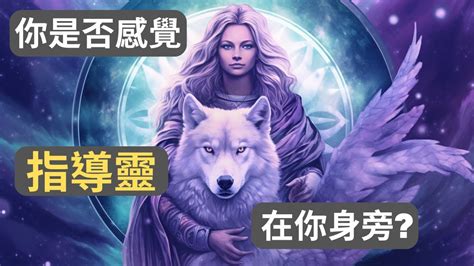 指導靈大揭秘：了解不同類型的靈性導師，從原型指導靈到星際生物的奧秘 靈性成長 Youtube