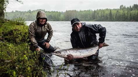 Catch A Baltic Swedish Lapland