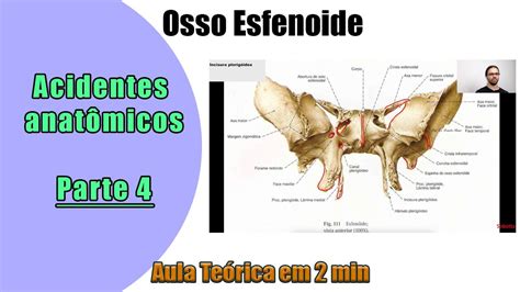 Osso Esfenoide Aula Teórica 4 Anatomia Anatomia Humana YouTube