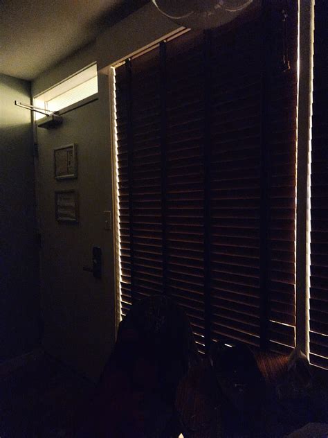 BLUE PALMS - Prices & Motel Reviews (Wildwood, NJ)