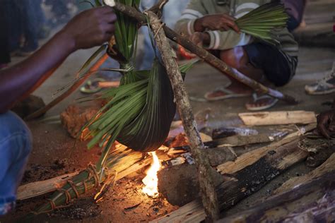 The Philippines — People and Plants International
